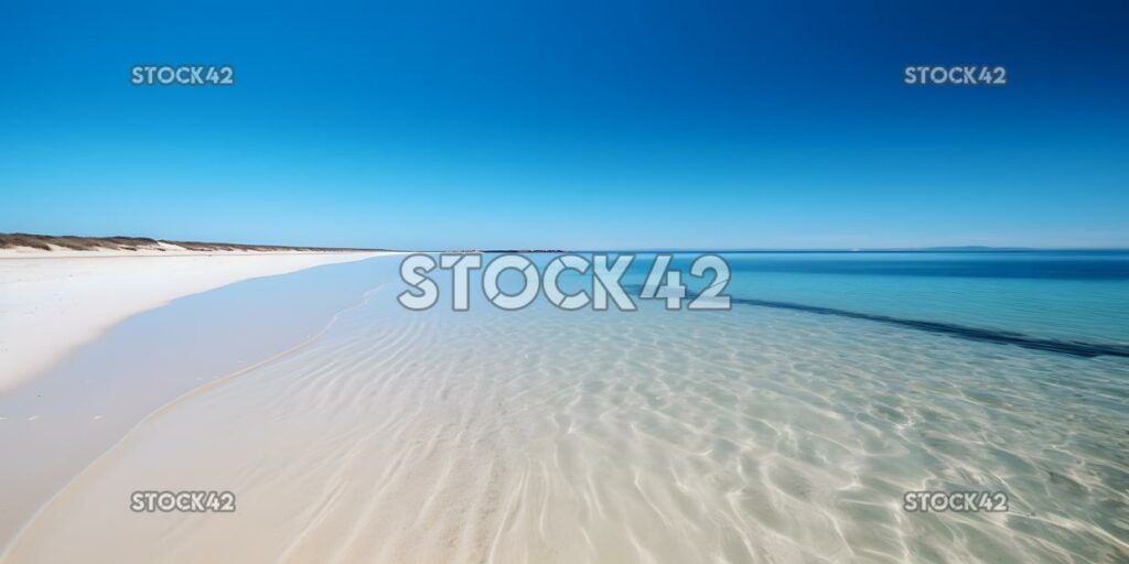 beach with calm water and a blue sky one