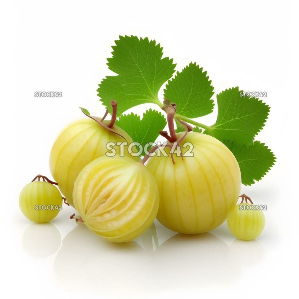 gooseberry fruit blank white background two