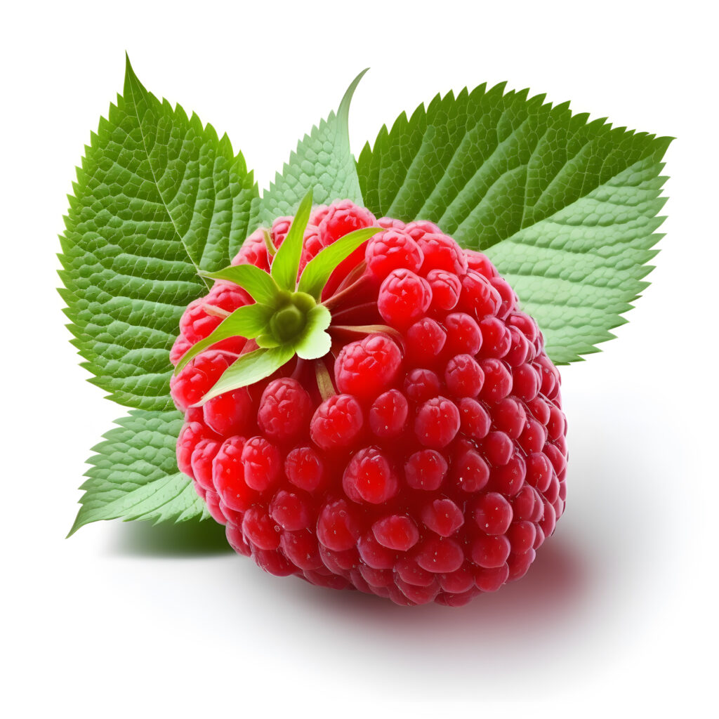 raspberry blank white background